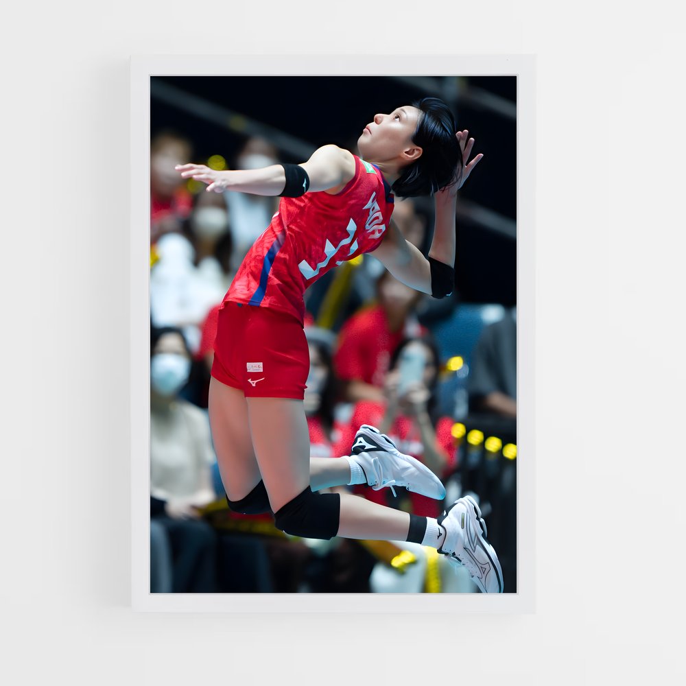 Poster Volleyball de league internationaux (vue 3)